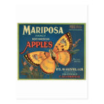 Butterfly Post Cards