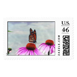 Butterfly - postage stamp
