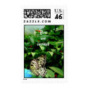 Butterfly postage postage