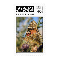 butterfly postage by miaoweb butterfly postage