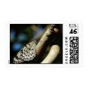 Butterfly Postage postage by LaVellaK Butterfly Postage postage