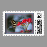 Butterfly Postage stamps