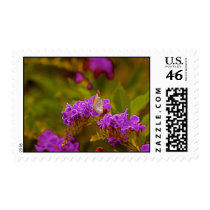 Butterfly Stamps