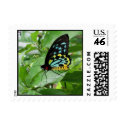 Butterfly! postage by BitsOfWhimsy Butterfly! postage