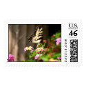 butterfly postage