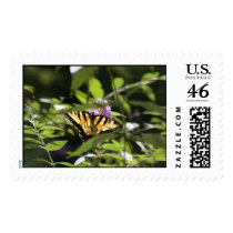 butterfly postage