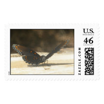 Butterfly Postage Stamp