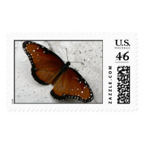 Butterfly. stamps