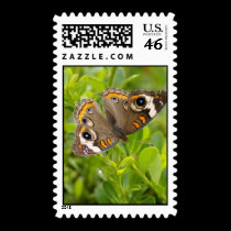butterfly postage stamps