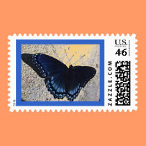 Butterfly Postage postage