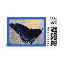 Butterfly Postage postage