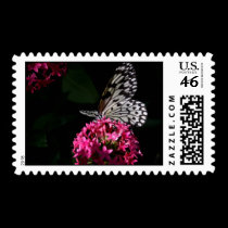 butterfly postage stamps