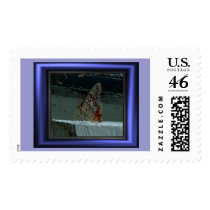 Butterfly postage