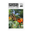 Butterfly Postage stamp