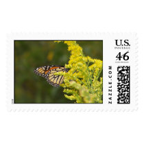Butterfly postage