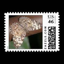 butterfly Postage stamps