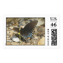 Butterfly Stamp