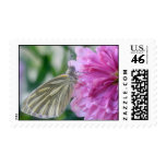 Butterfly Postage