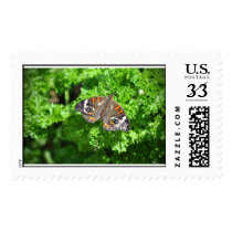 Butterfly Postage