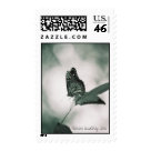  - Gorgeous Photo Postage.  Matching notecards also available: Sizes 
