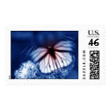 Butterfly Postage Stamp