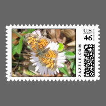 Butterfly Postage Stamp stamps