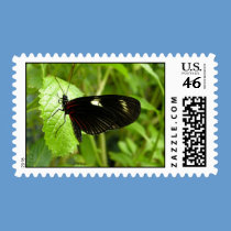 Butterfly postage stamp - Black on green