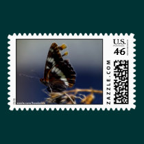 Butterfly Postage Stamps stamps