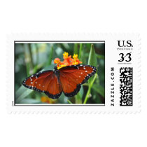Butterfly Postage Stamps