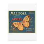 Butterfly Post Cards