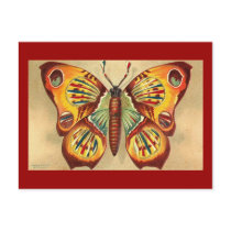 Butterfly postcards