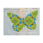 Butterfly Post Cards
