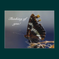 Butterfly Postcards postcards