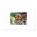 Butterfly posters