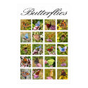 Butterfly poster posters