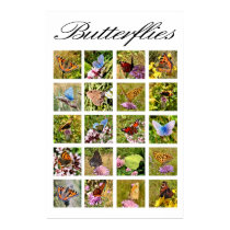 Butterfly poster posters by Junglegeorge Butterfly poster posters