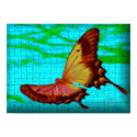 BUTTERFLY posters