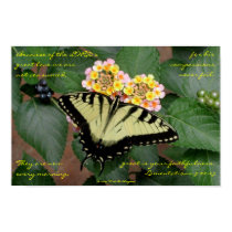 Butterfly posters