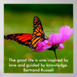 butterfly Poster