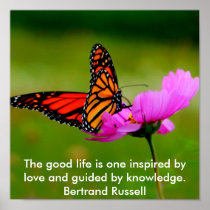 butterfly Poster
