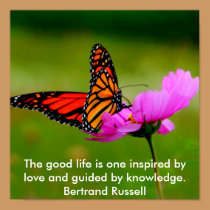 butterfly Poster posters