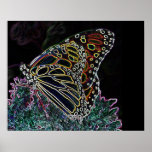 Butterfly poster