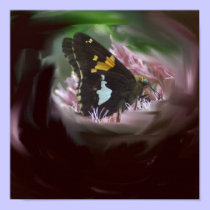 Butterfly posters