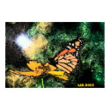 butterfly posters by san_ butterfly posters