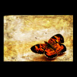 Butterfly posters
