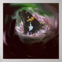 Butterfly Print