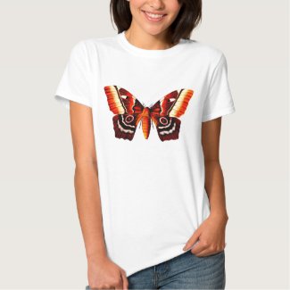 Butterfly - Pseudimbrasia Deyrollei T Shirts