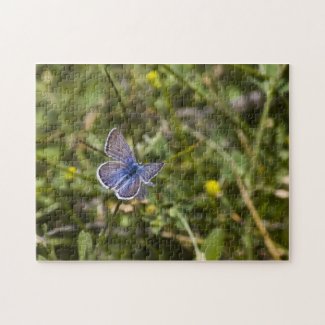 Butterfly Puzzle 3 puzzle