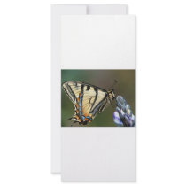 Butterfly rack cards