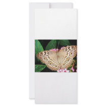 Butterfly rack cards